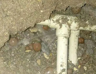 北林卫生间测漏